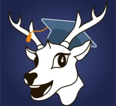 تطبيق طليق صورة غزال